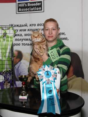 �������� ����� '������� ���-�����' 30 ������-1 ������� 2013., WCF-����� 2662